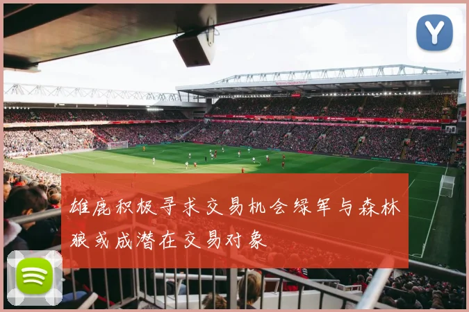 雄鹿积极寻求交易机会绿军与森林狼或成潜在交易对象