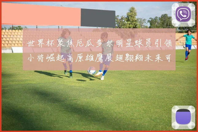 世界杯聚焦厄瓜多尔明星球员引领小将崛起高原雄鹰展翅翱翔未来可期
