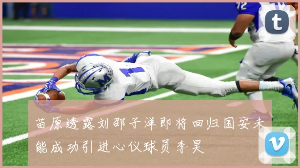 苗原透露刘邵子洋即将回归国安未能成功引进心仪球员李昊